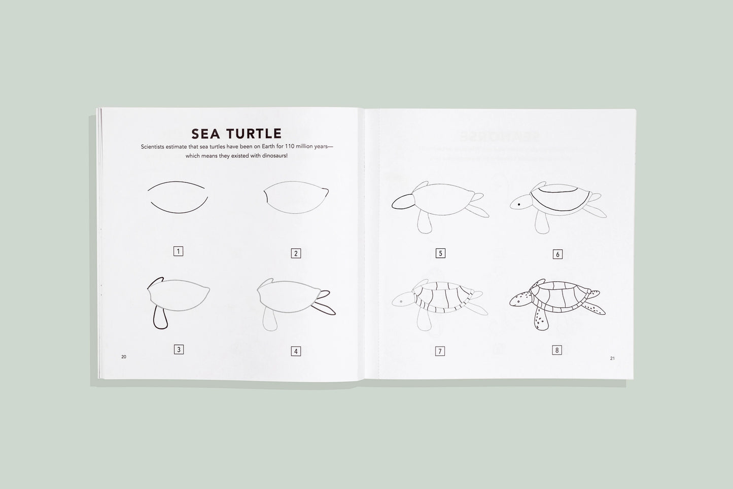 Under the Sea Drawing Book
