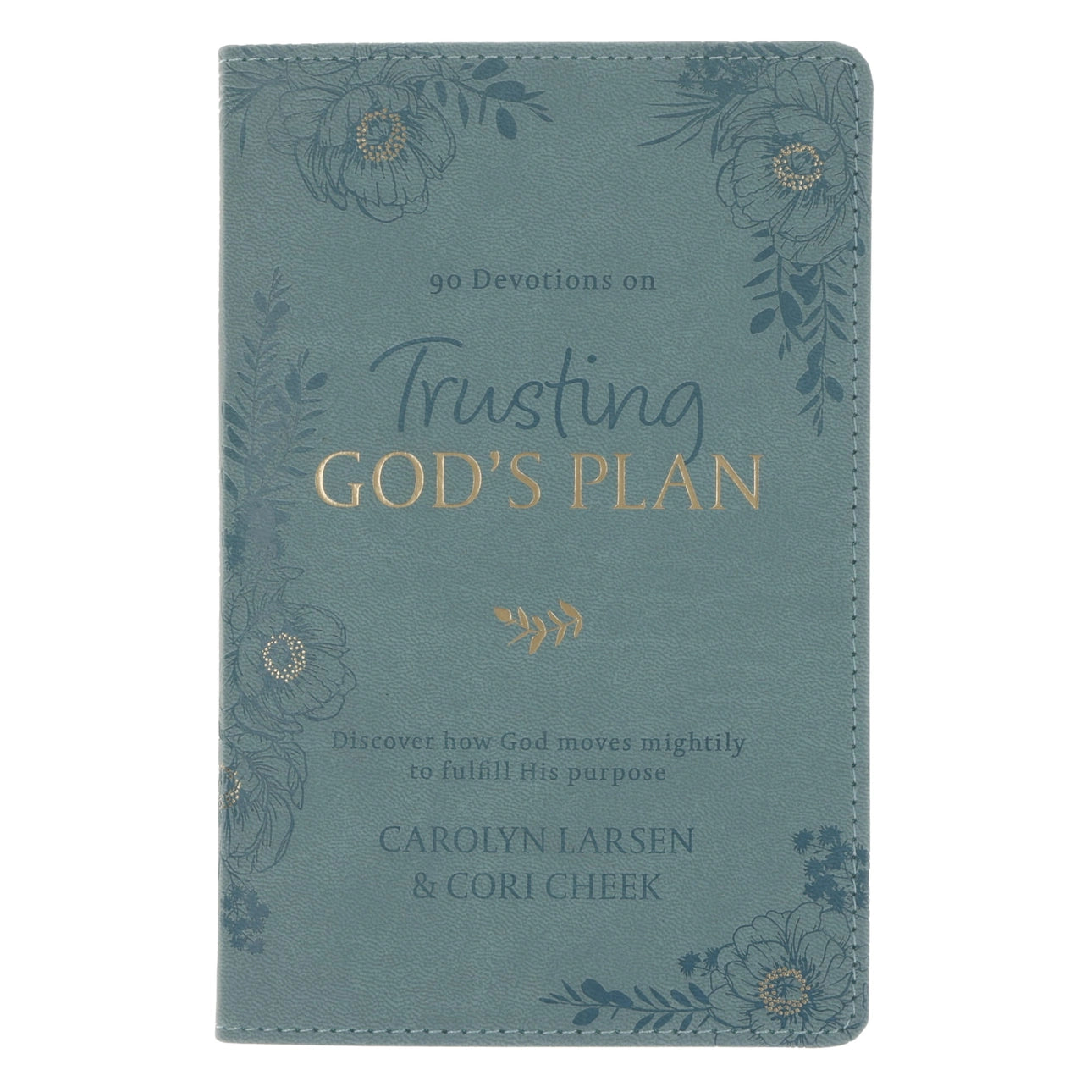 Trusting God's Plan Devotions - Blue