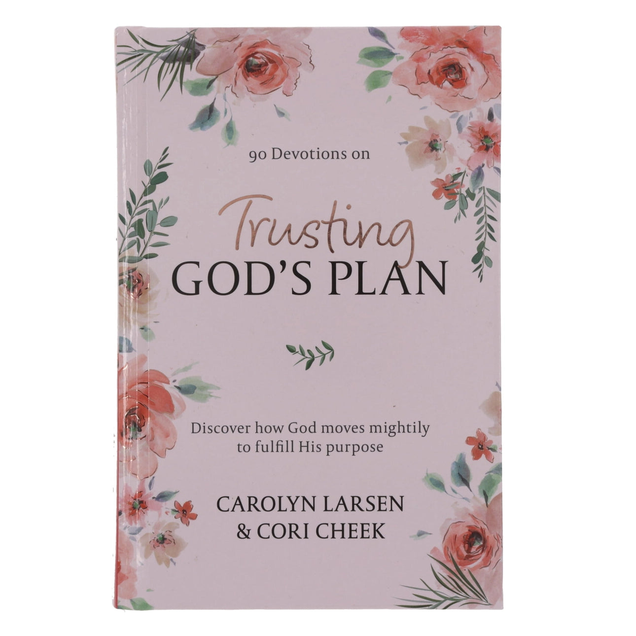Trusting God's Plan Devotions